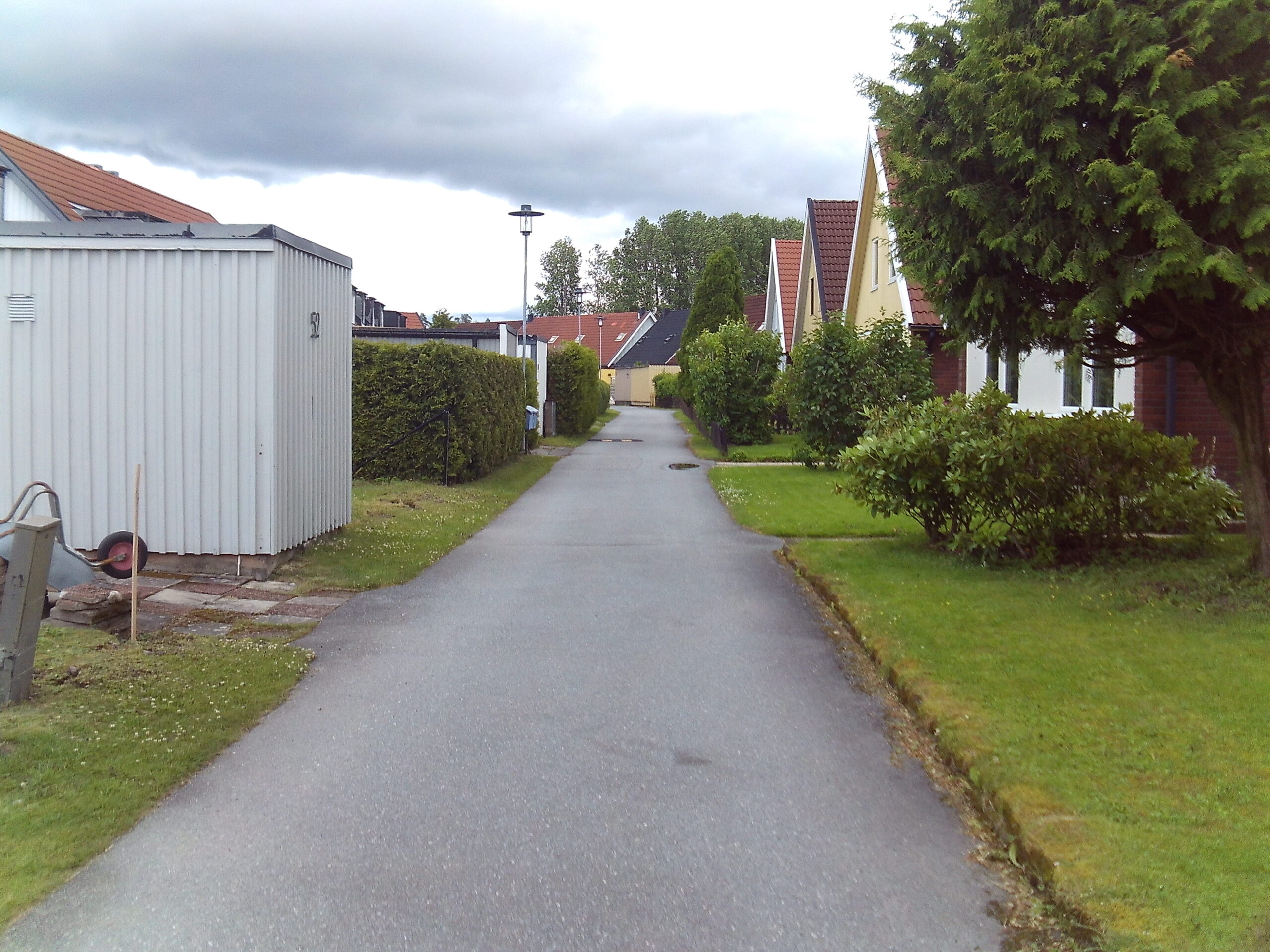 Lötgärdet sommar