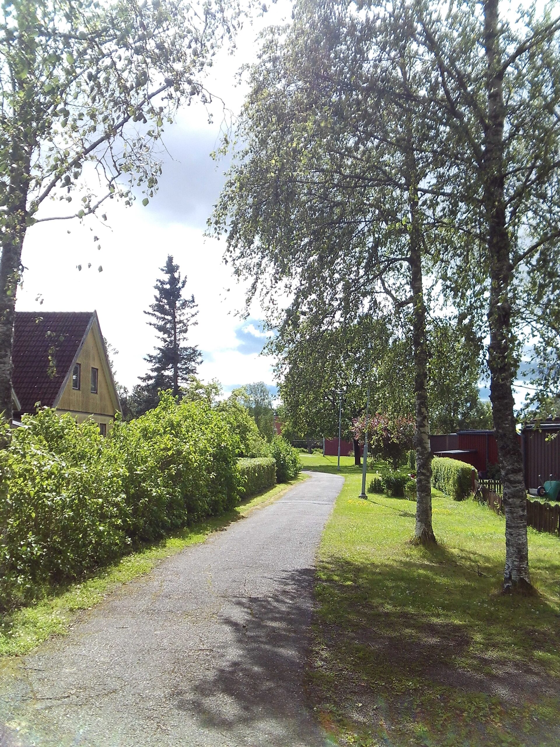 Lötgärdet sommar